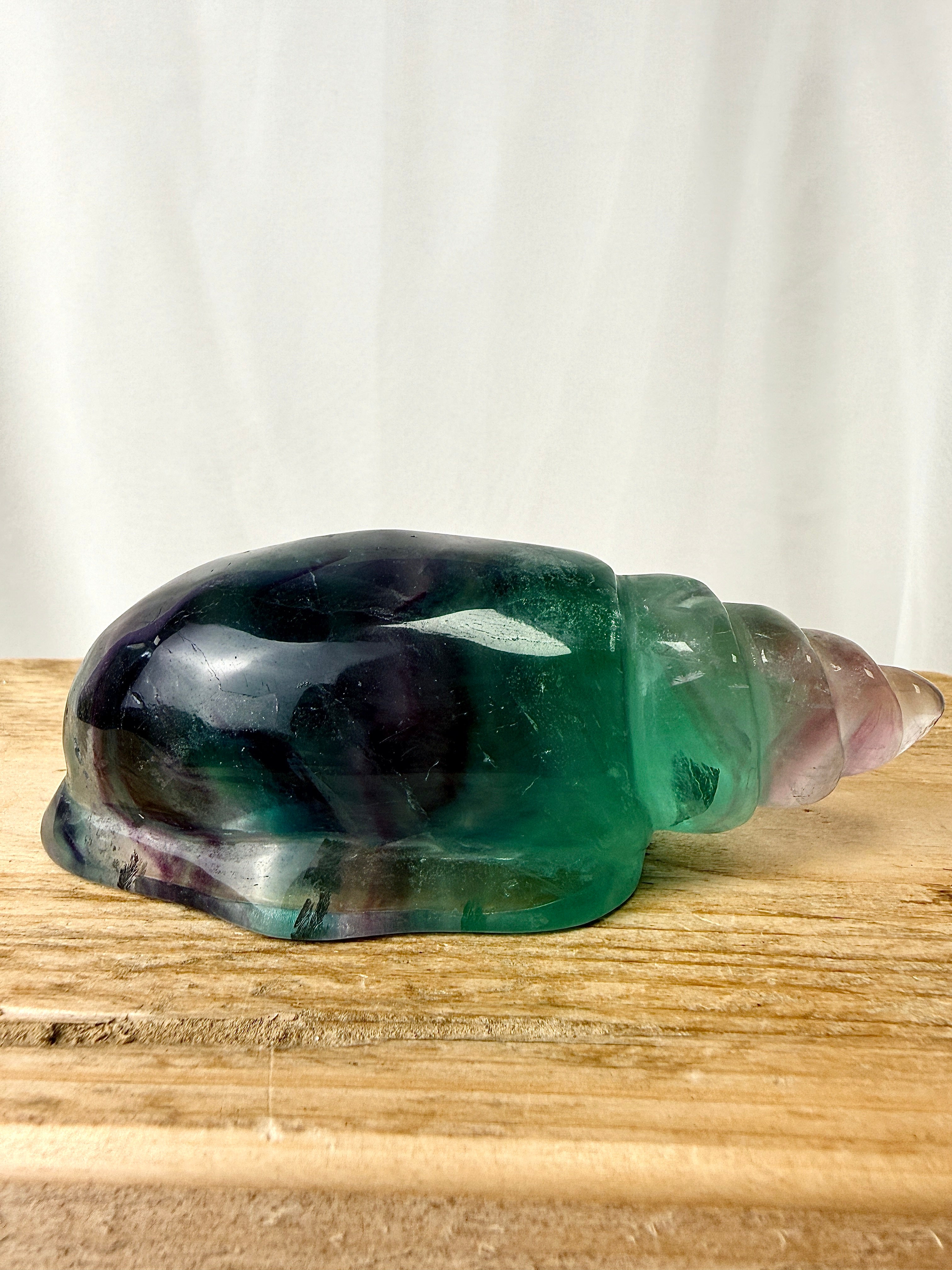 Rainbow Fluorite Conch Shell (#6)