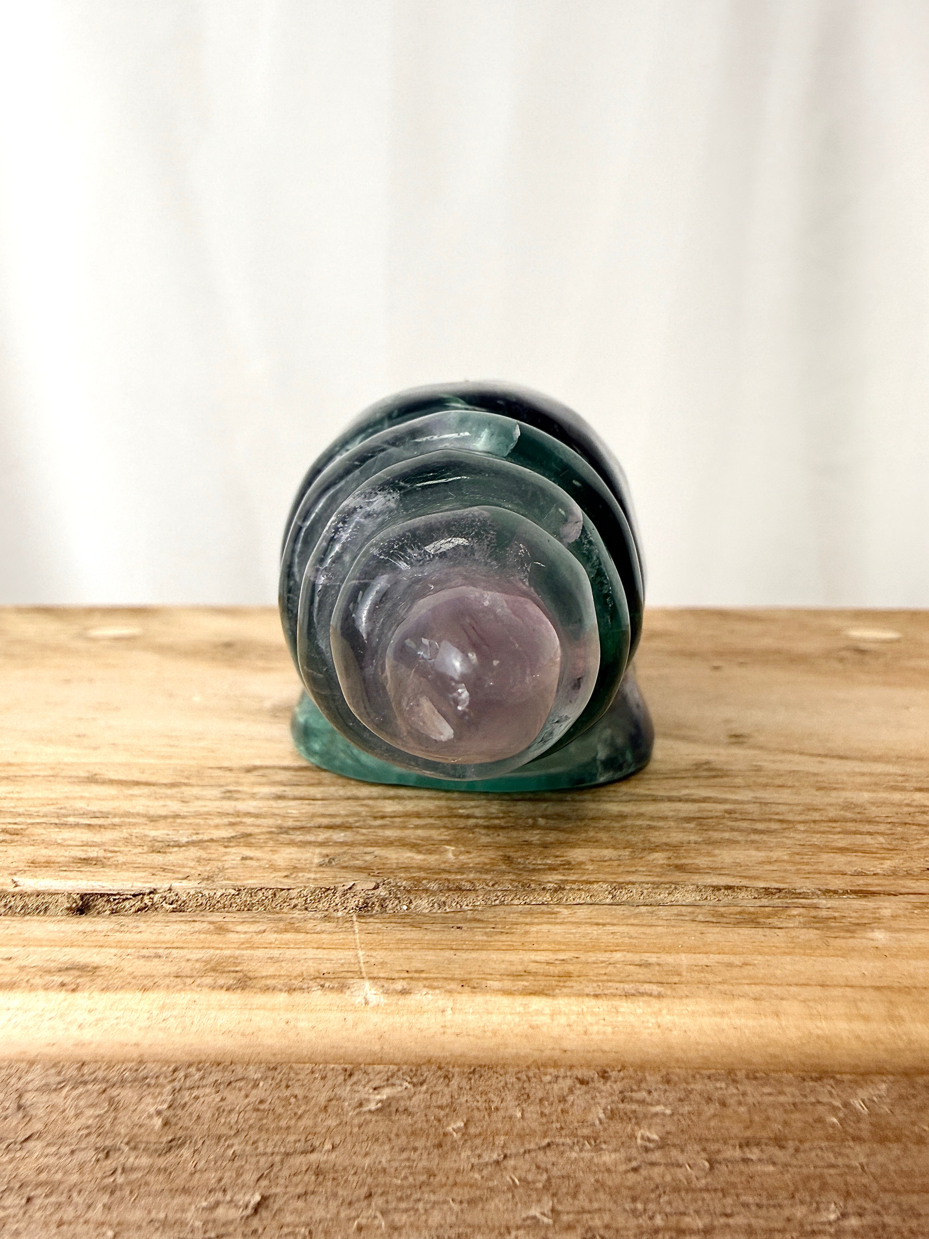 Rainbow Fluorite Conch Shell (#6)