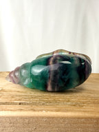 Rainbow Fluorite Conch Shell (#6)