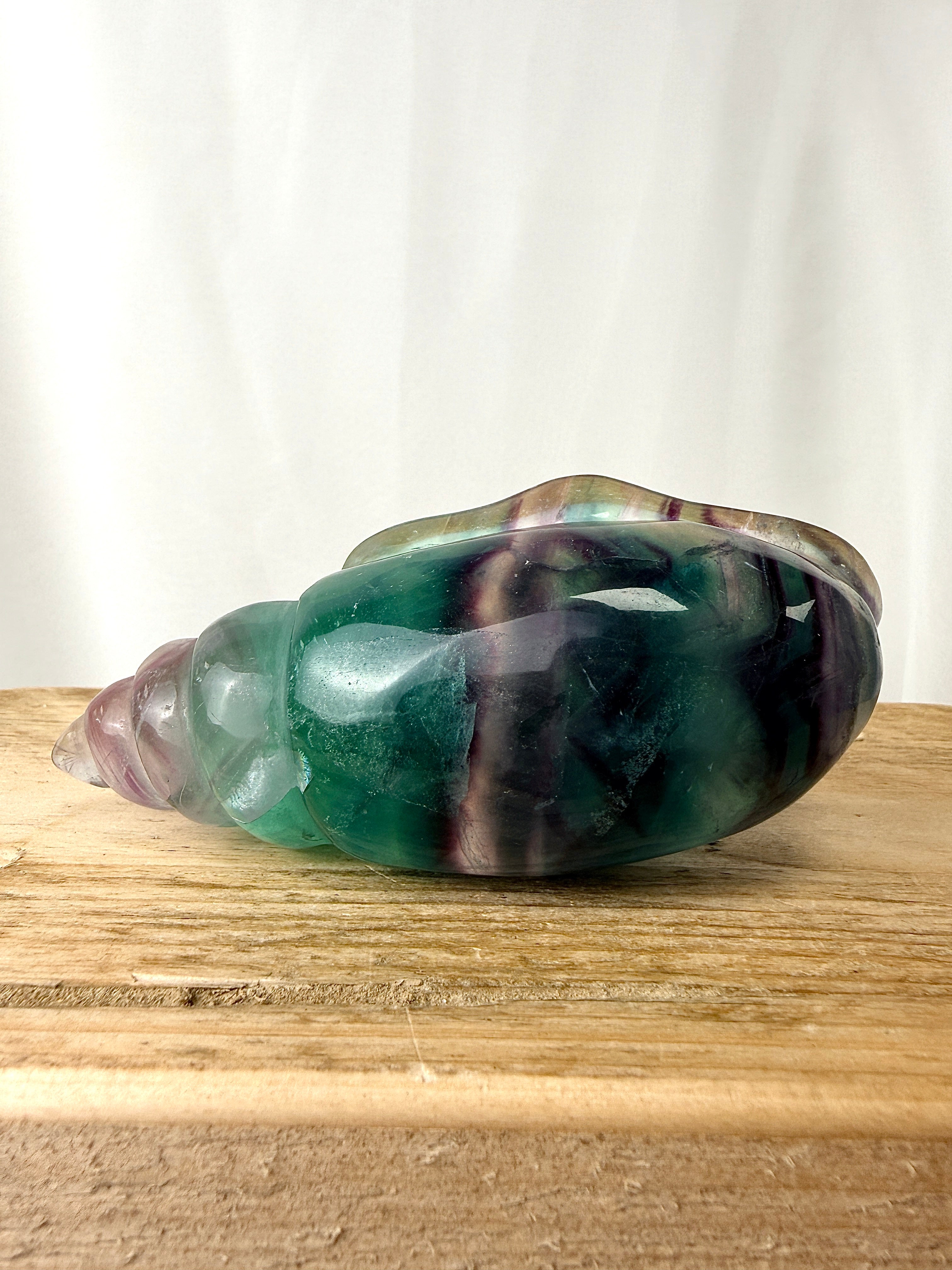 Rainbow Fluorite Conch Shell (#6)