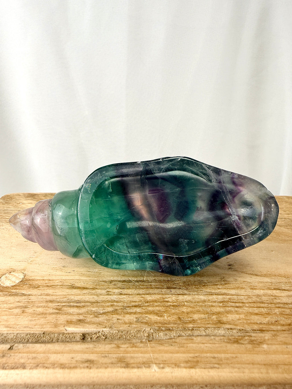 Rainbow Fluorite Conch Shell (#6)