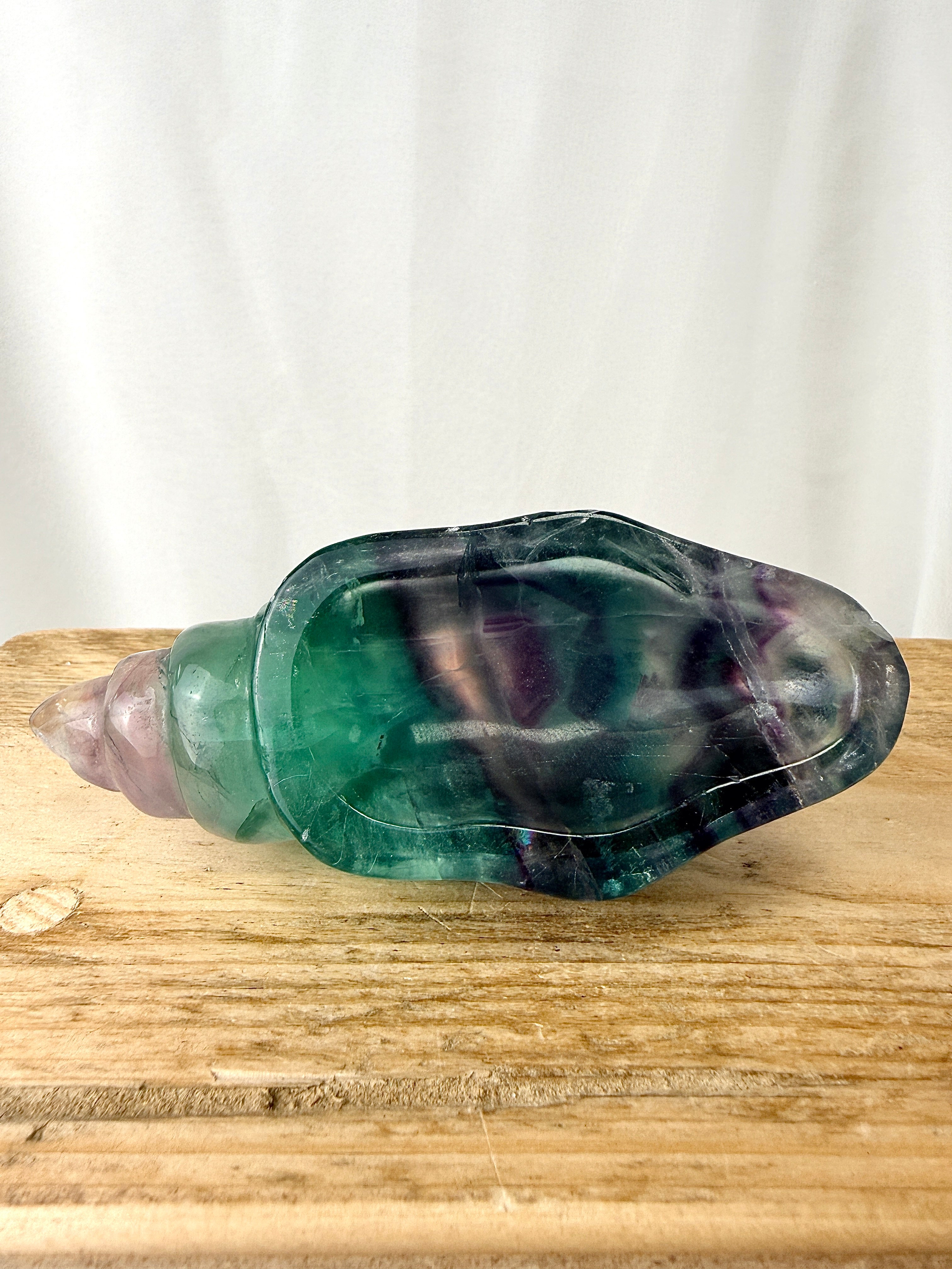Rainbow Fluorite Conch Shell (#6)