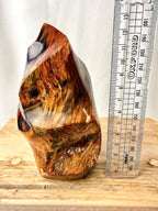 Fossilised Wood Flame