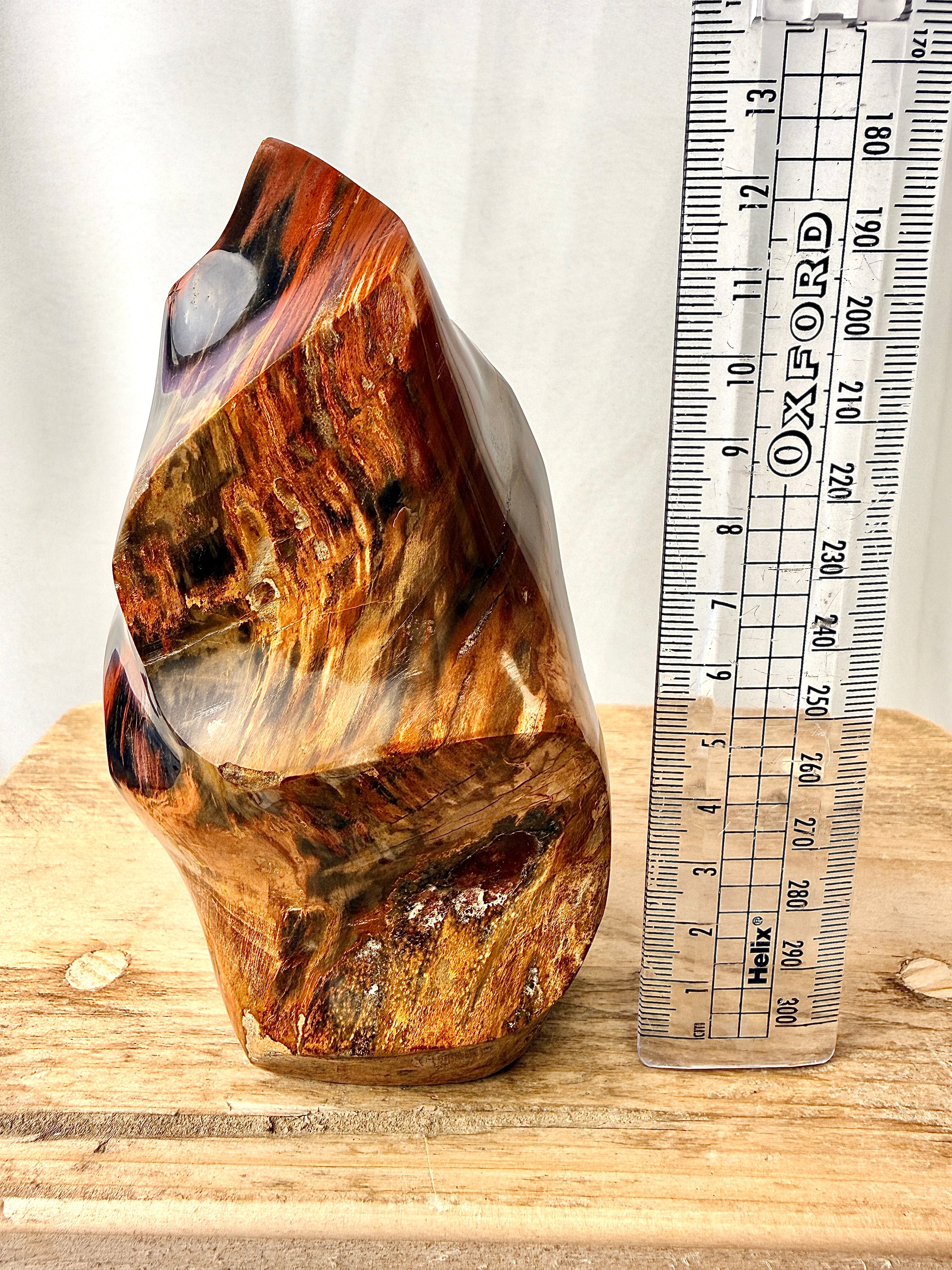 Fossilised Wood Flame