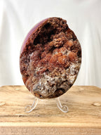 Red Chalcedony Druzy Egg