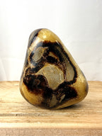Septarian Freeform (#1)