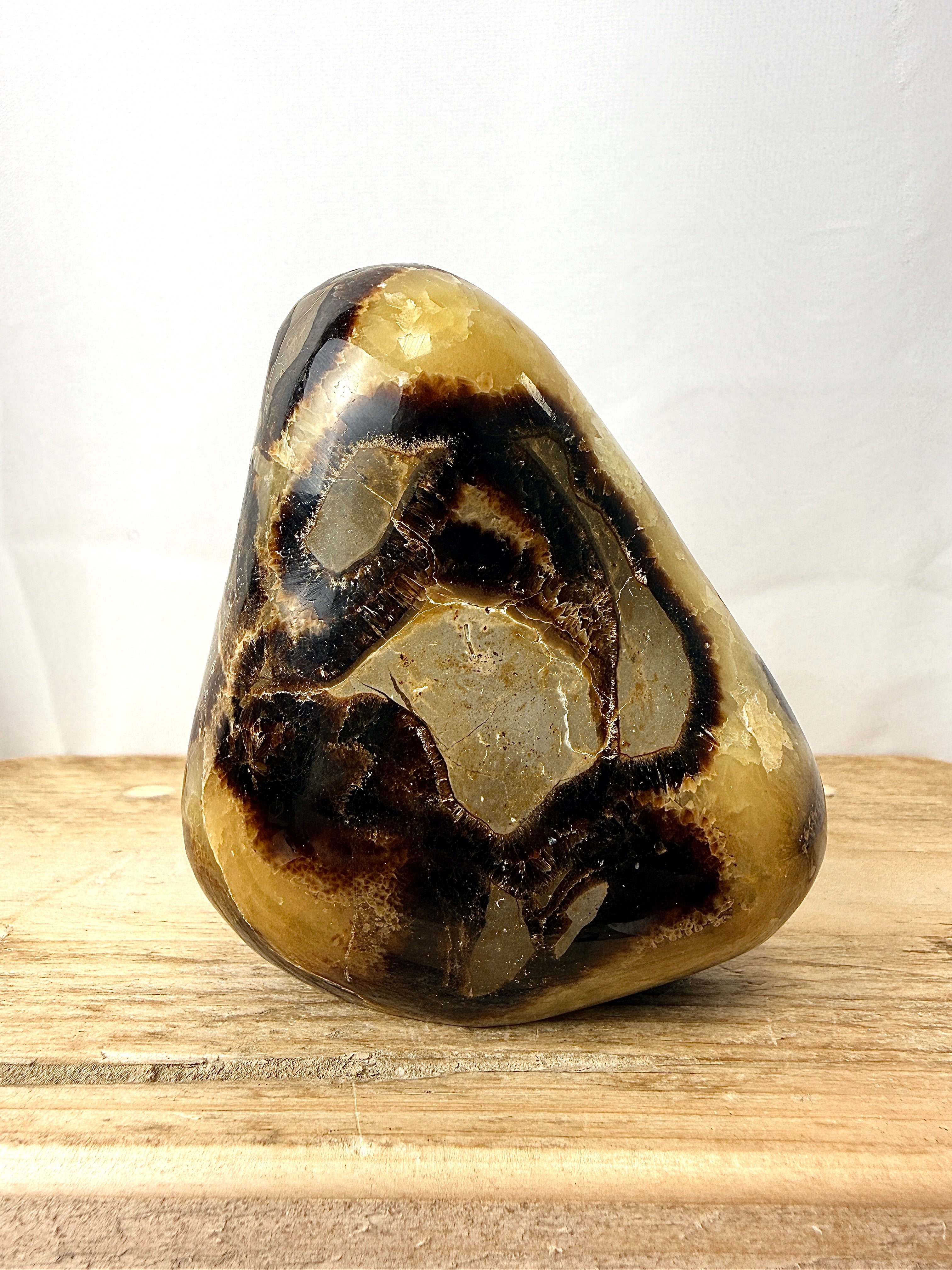 Septarian Freeform (#1)