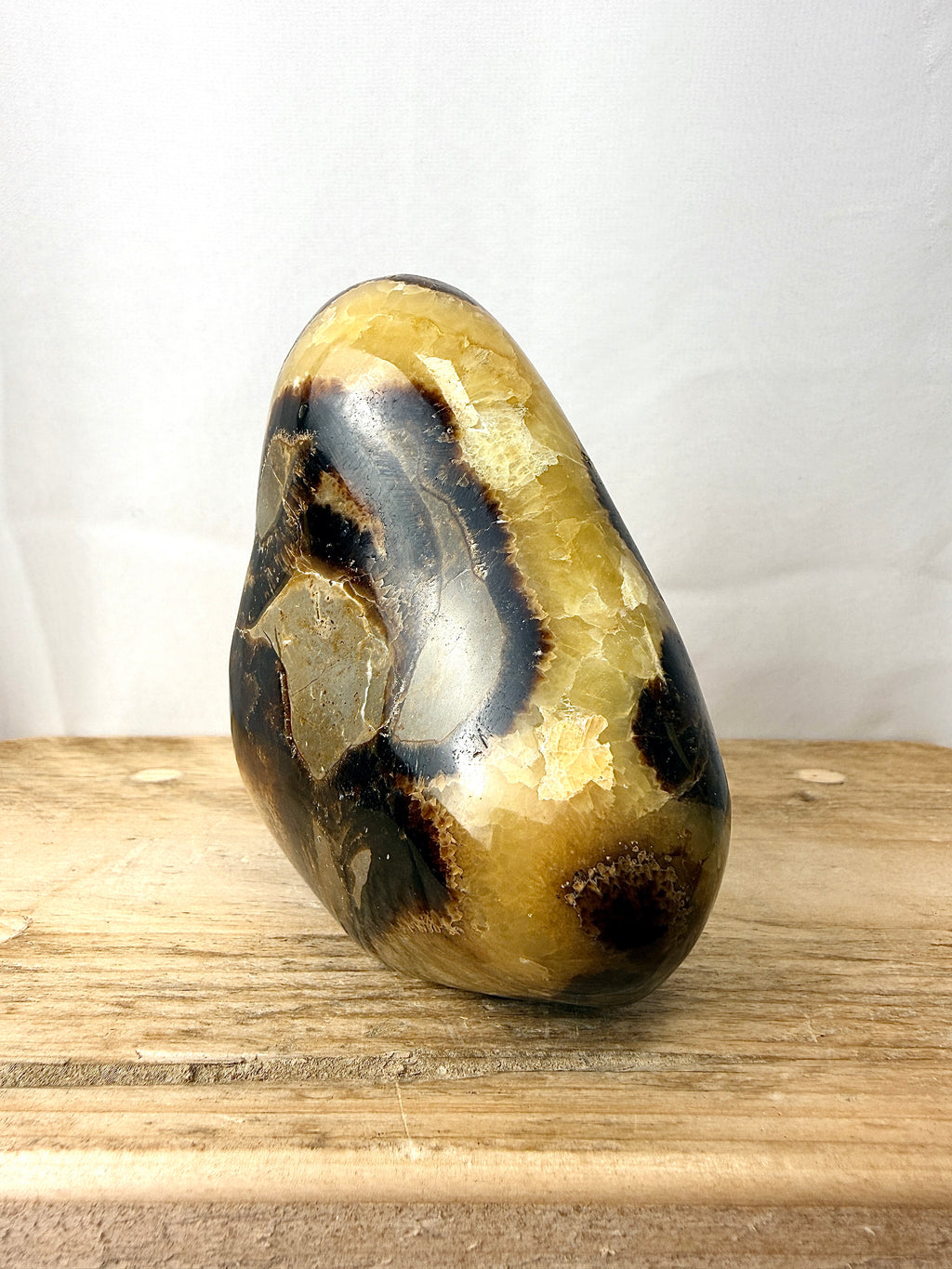 Septarian Freeform (#1)