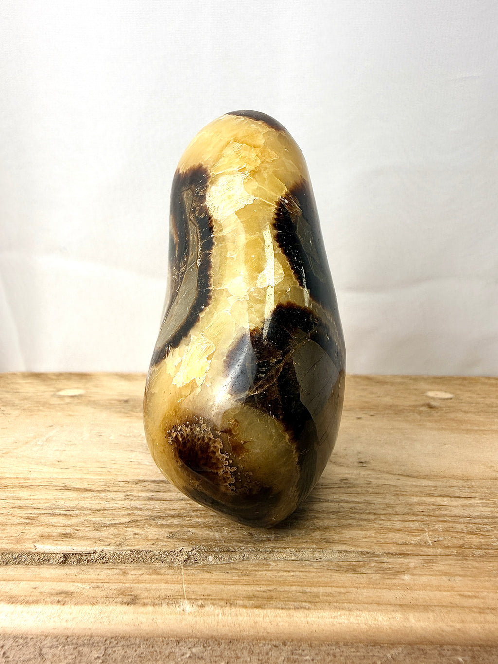 Septarian Freeform (#1)