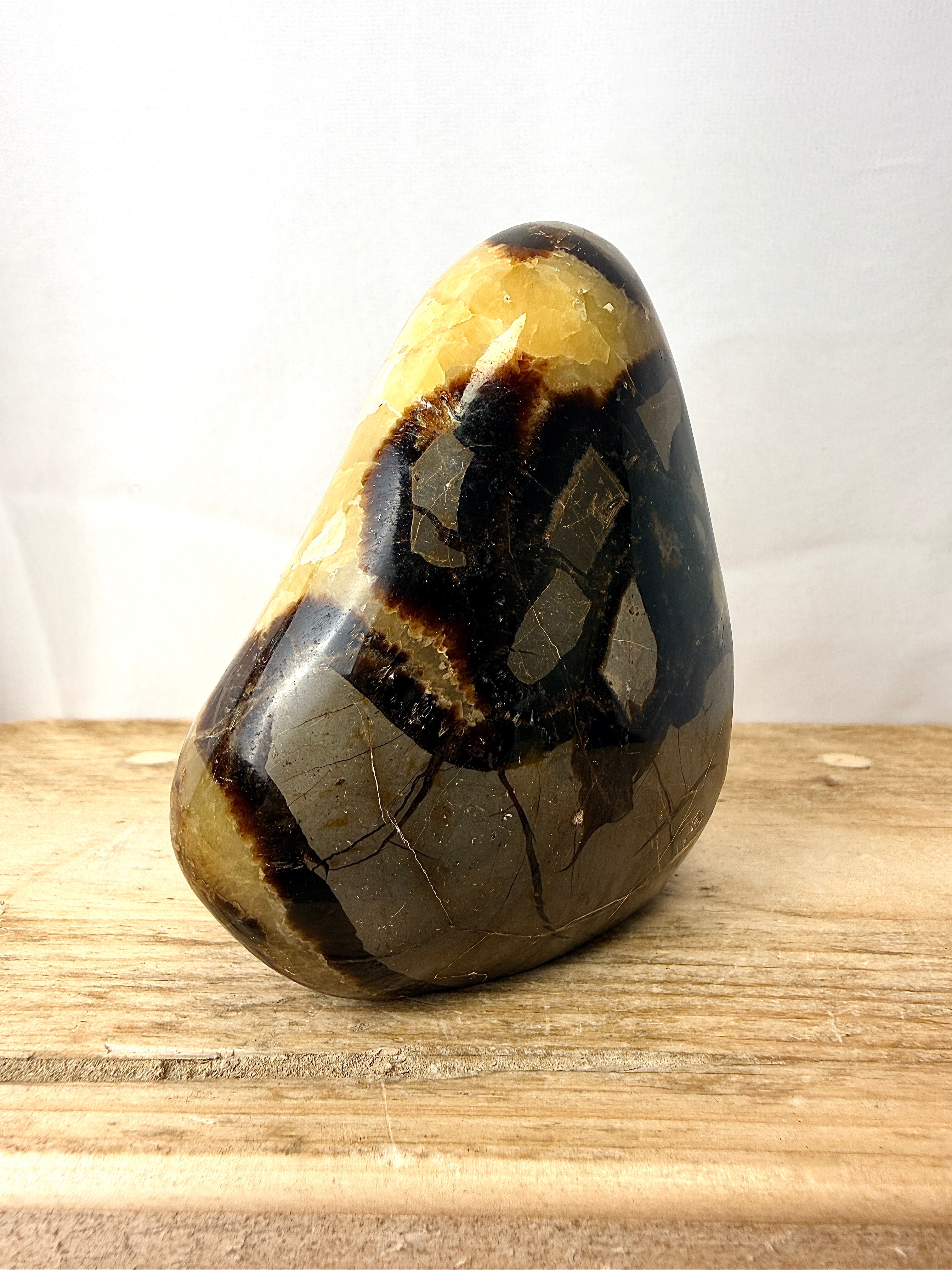 Septarian Freeform (#1)