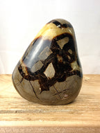 Septarian Freeform (#1)