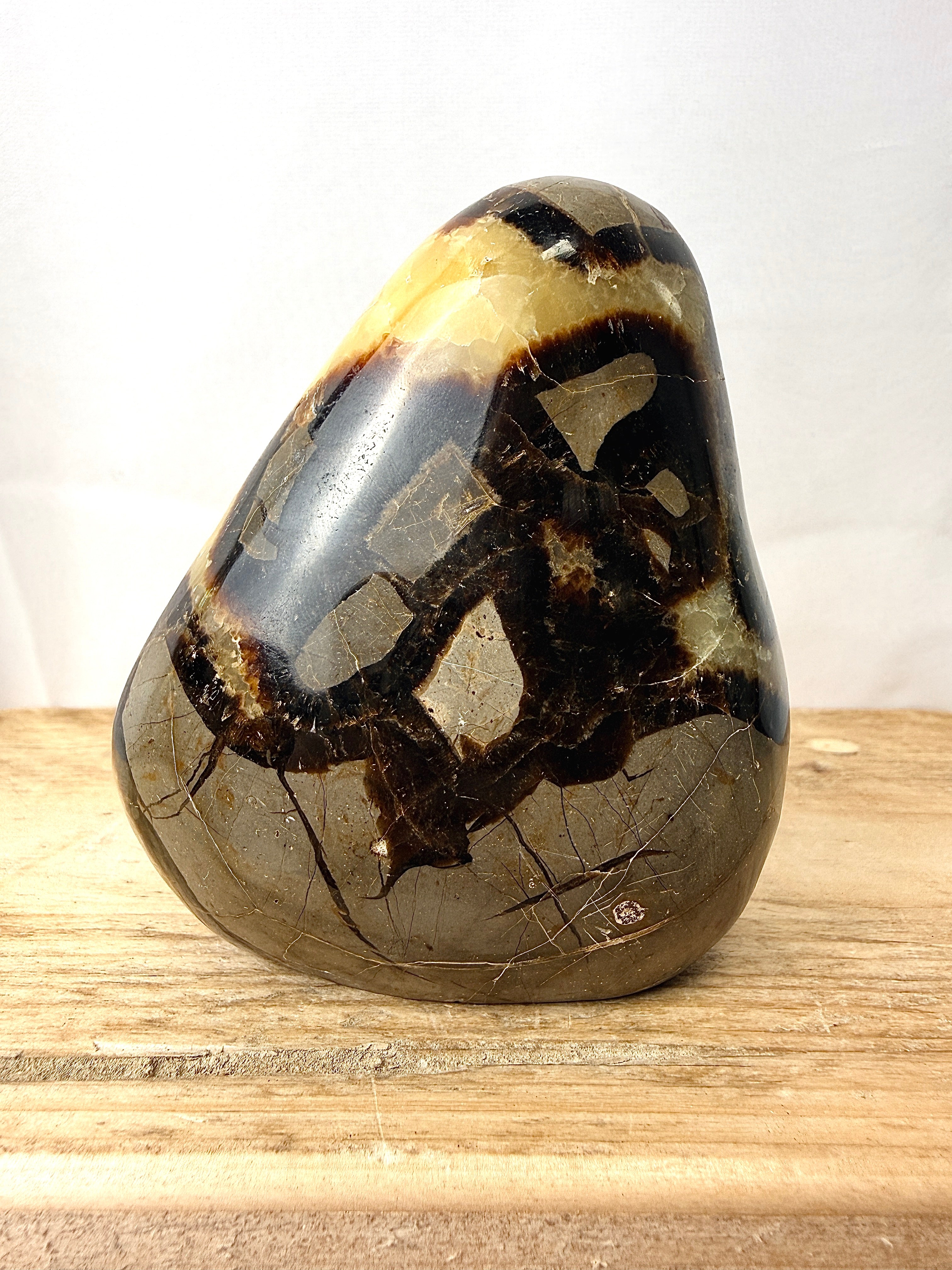 Septarian Freeform (#1)
