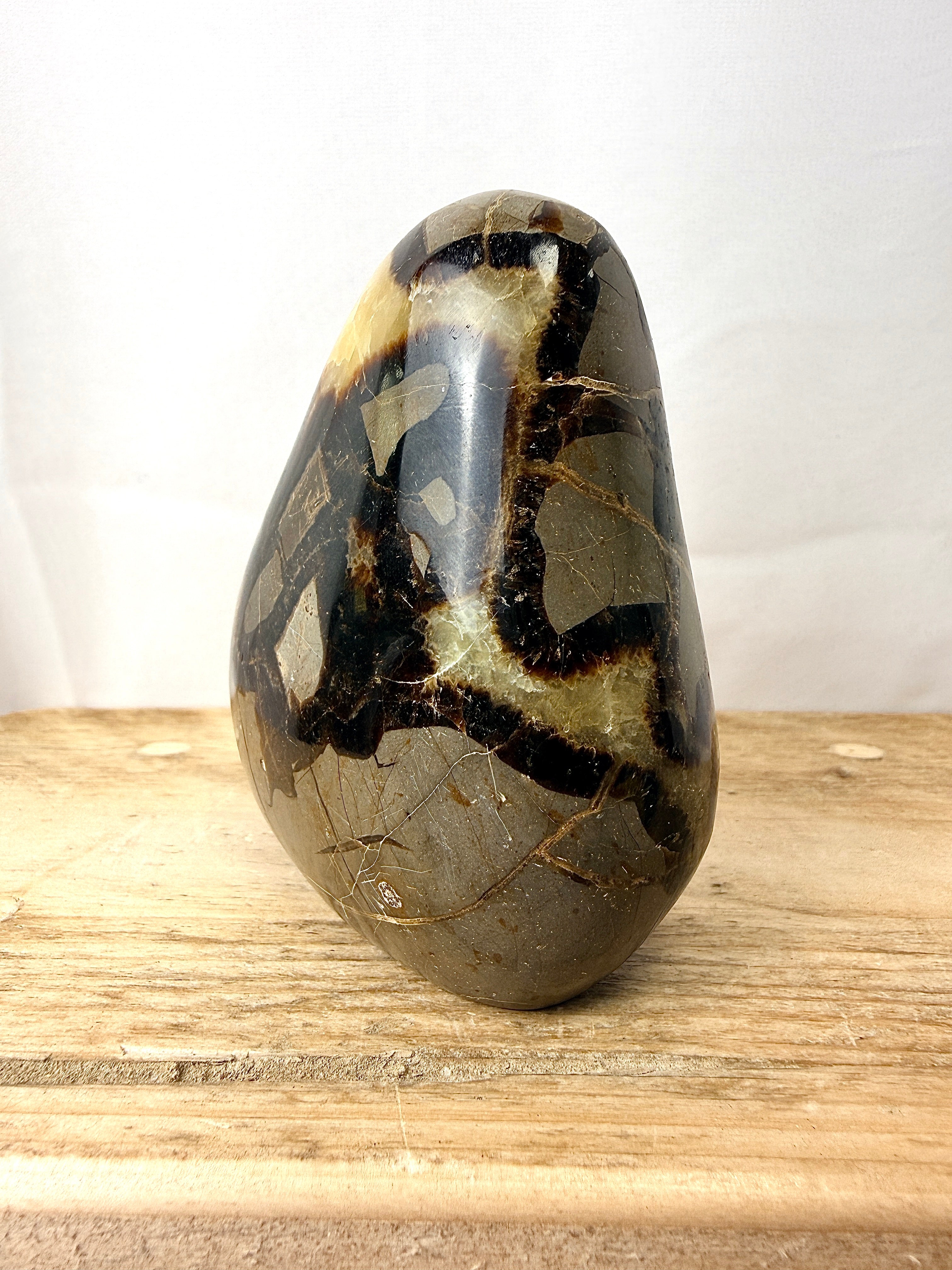 Septarian Freeform (#1)
