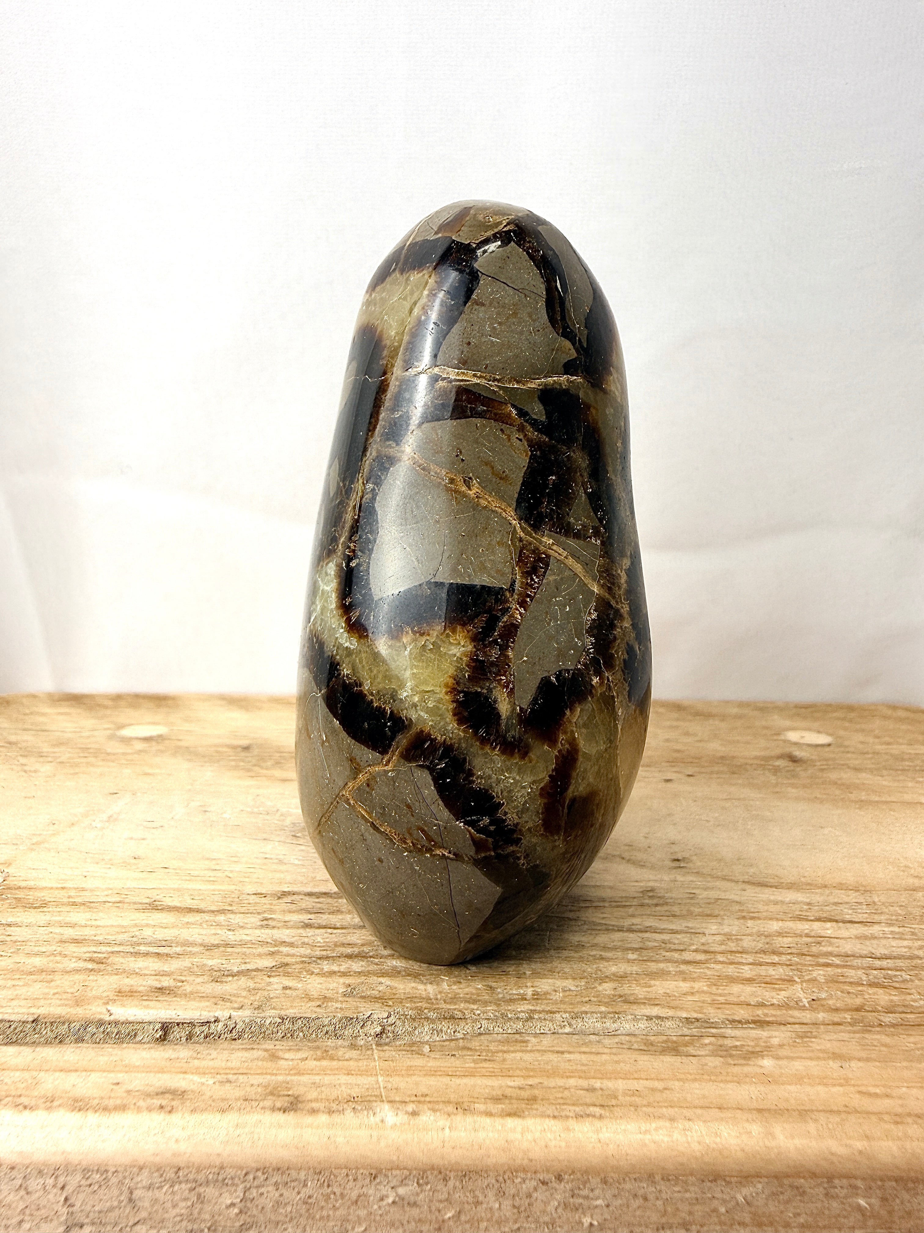 Septarian Freeform (#1)