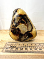 Septarian Freeform (#1)
