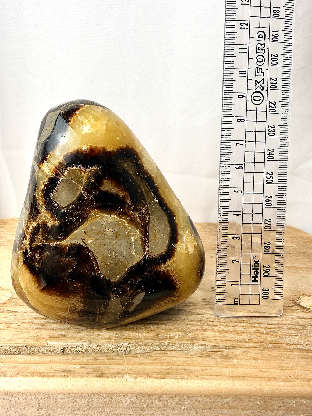 Septarian Freeform (#1)