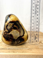 Septarian Freeform (#1)