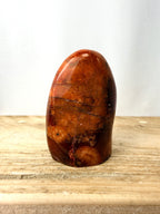 Carnelian Freeform #4