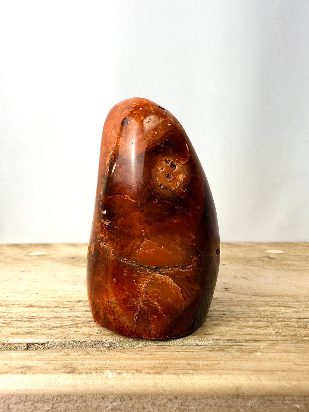 Carnelian Freeform #4