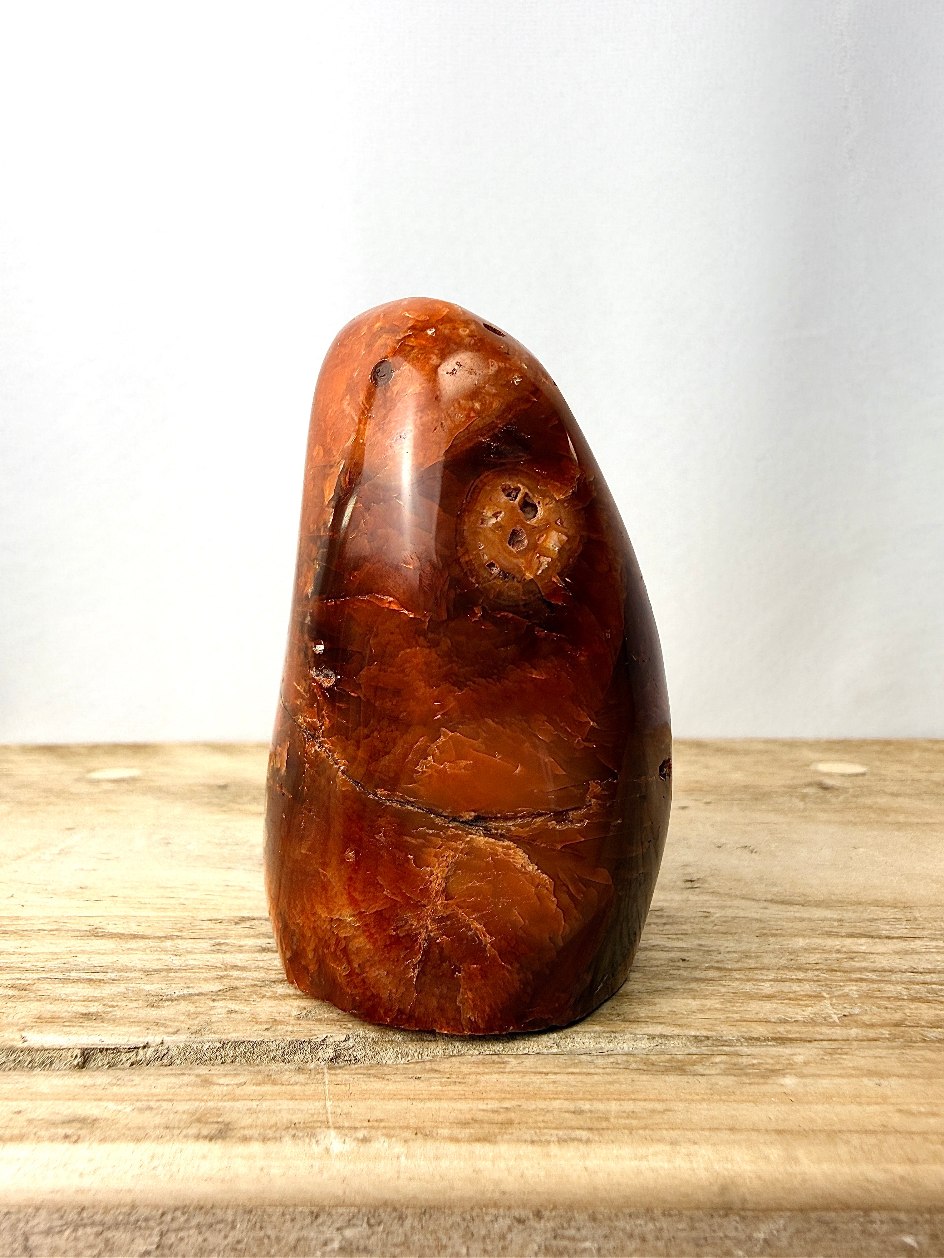 Carnelian Freeform #4