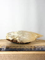 Dogtooth Calcite (#3)