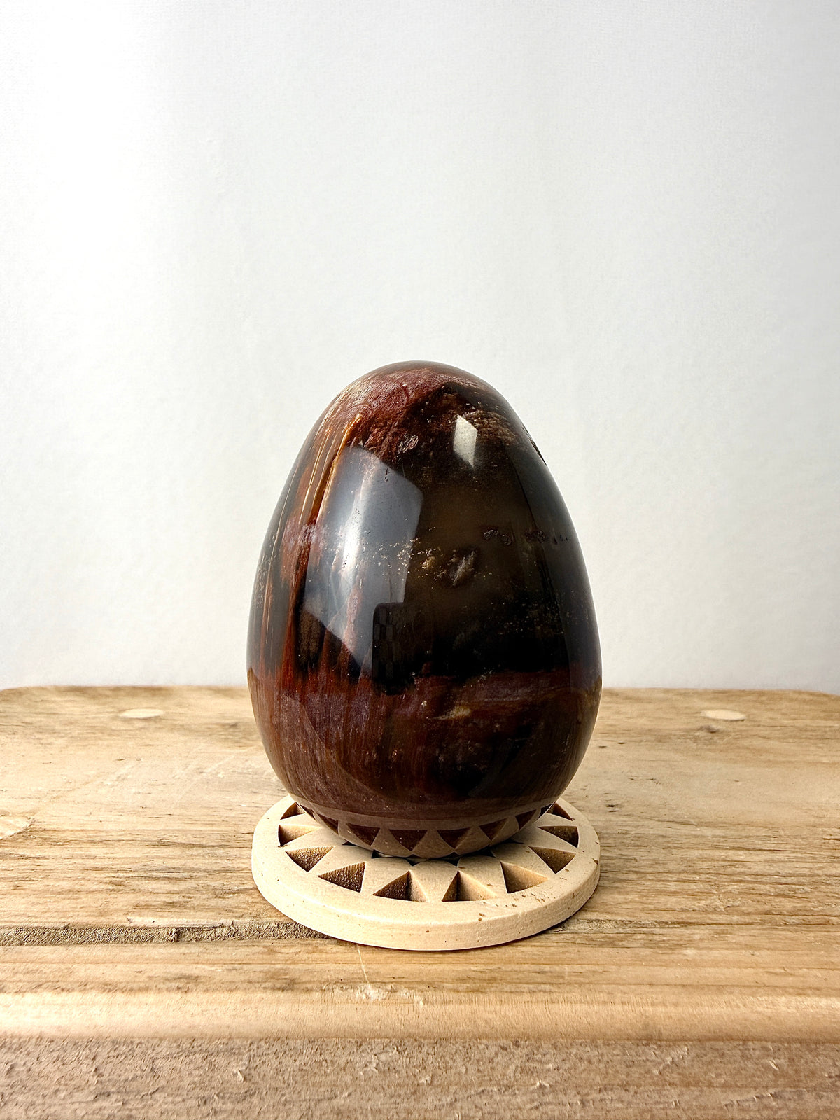 Fossilised Wood Egg