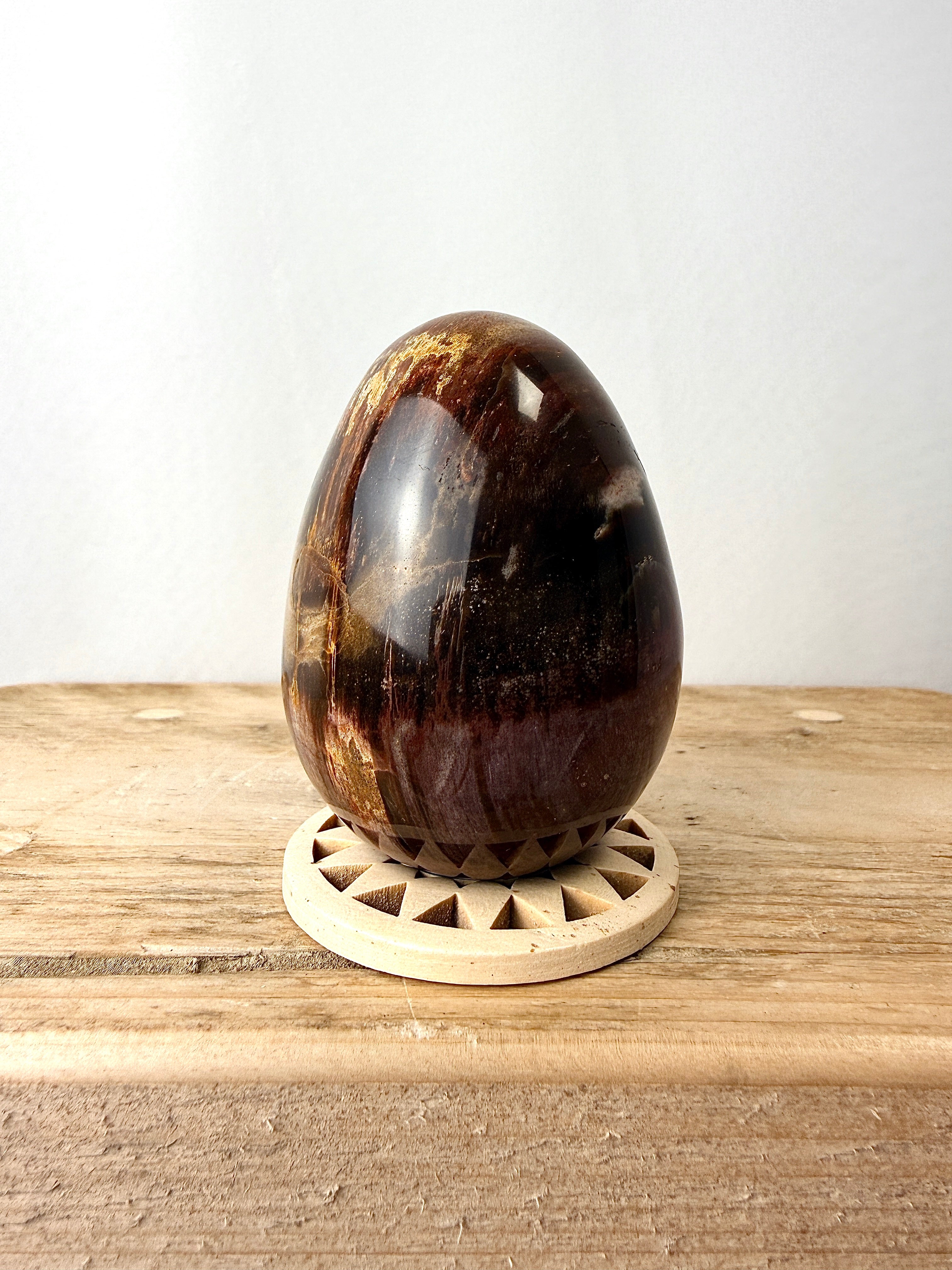 Fossilised Wood Egg