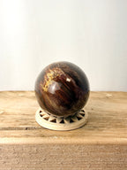 Fossilised Wood Egg
