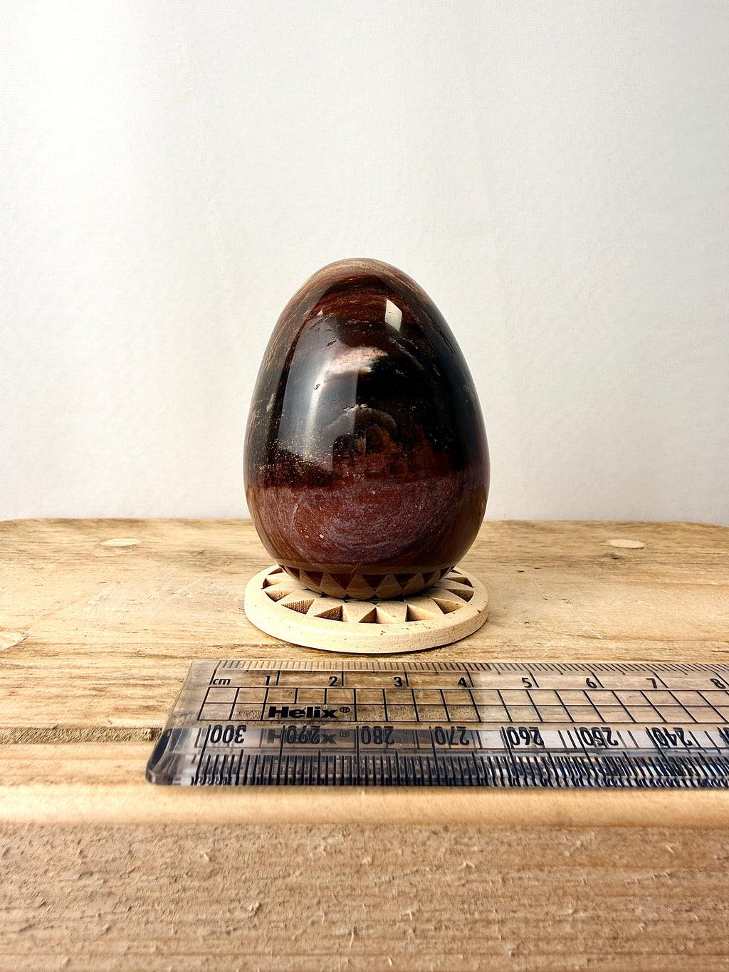 Fossilised Wood Egg