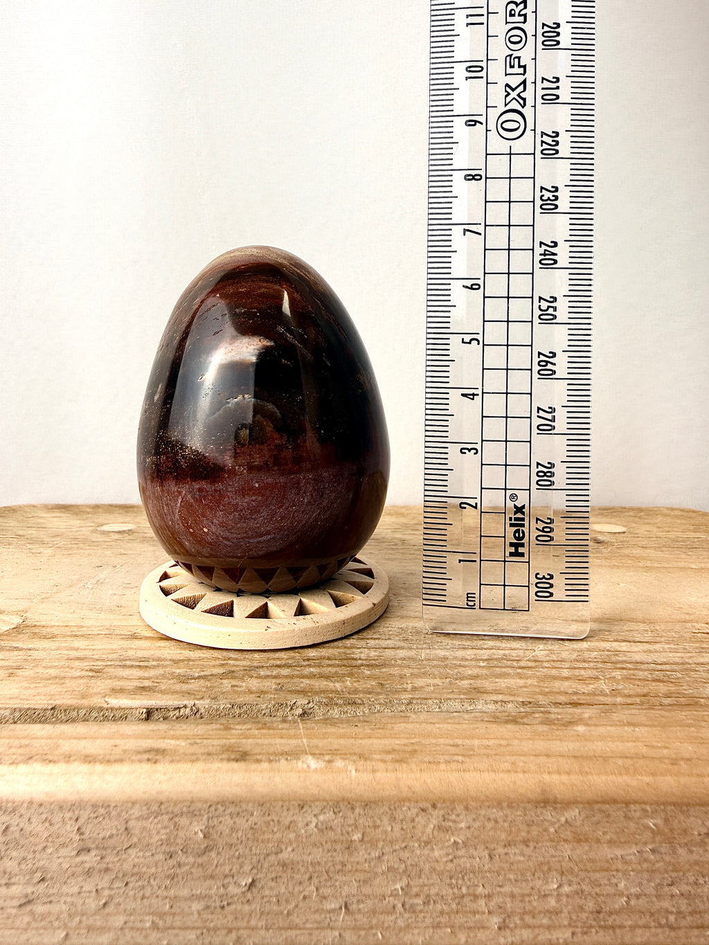 Fossilised Wood Egg