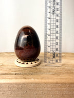 Fossilised Wood Egg