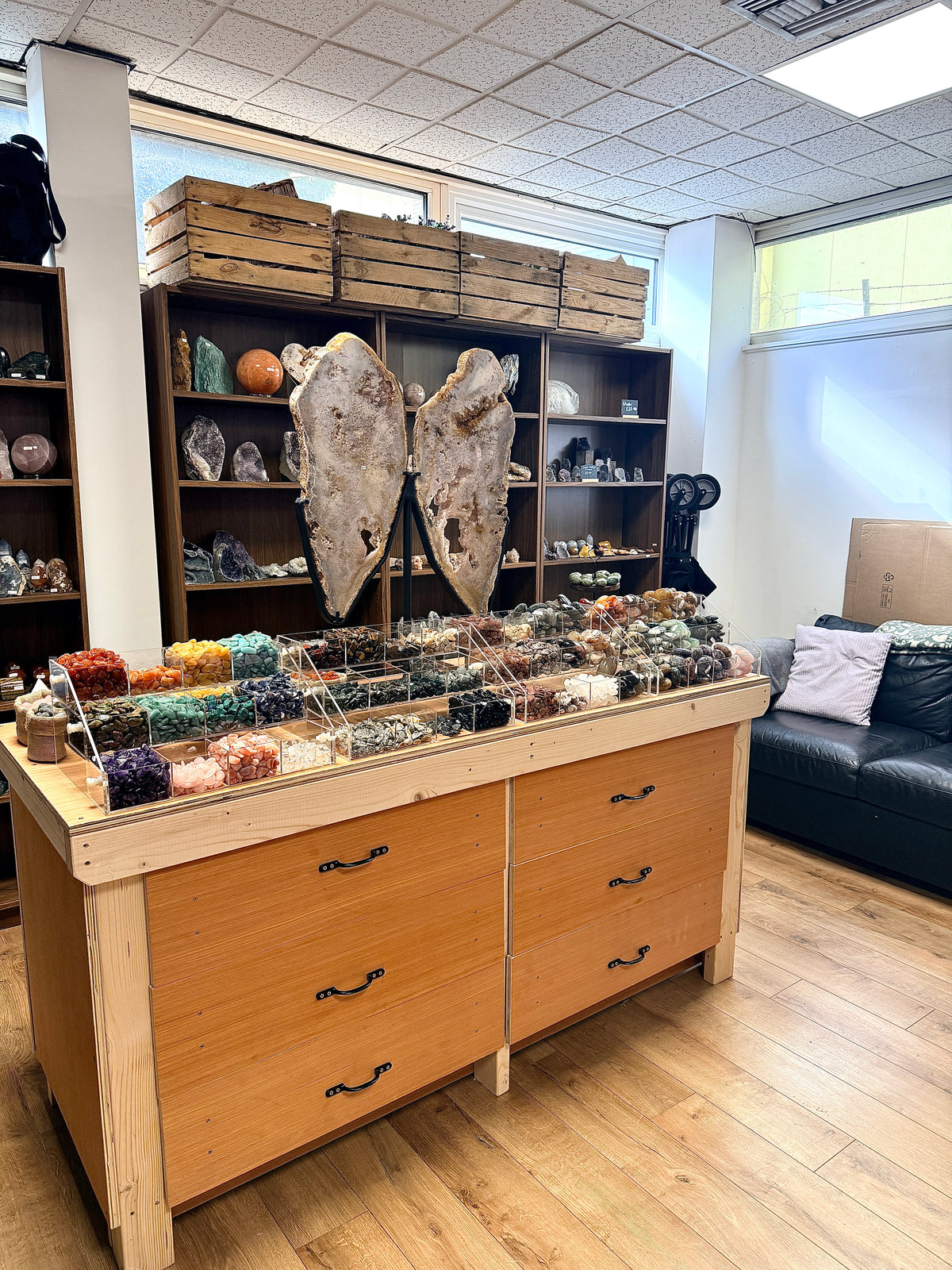 Book an Appointment to Shop at Moonveil Market HQ