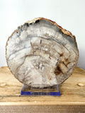 Fossilised Wood Slice (#2)