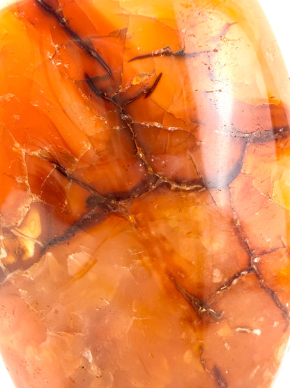 Carnelian Crystal Freeform - Pakistan - 0.29kg