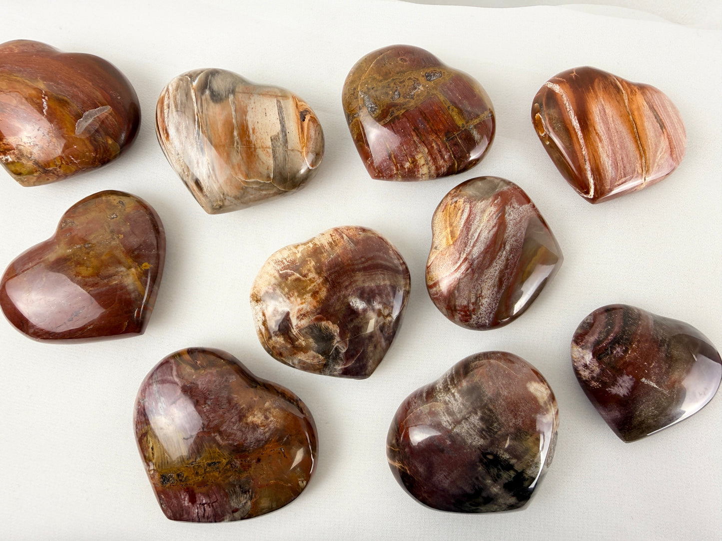 Petrified Wood Heart
