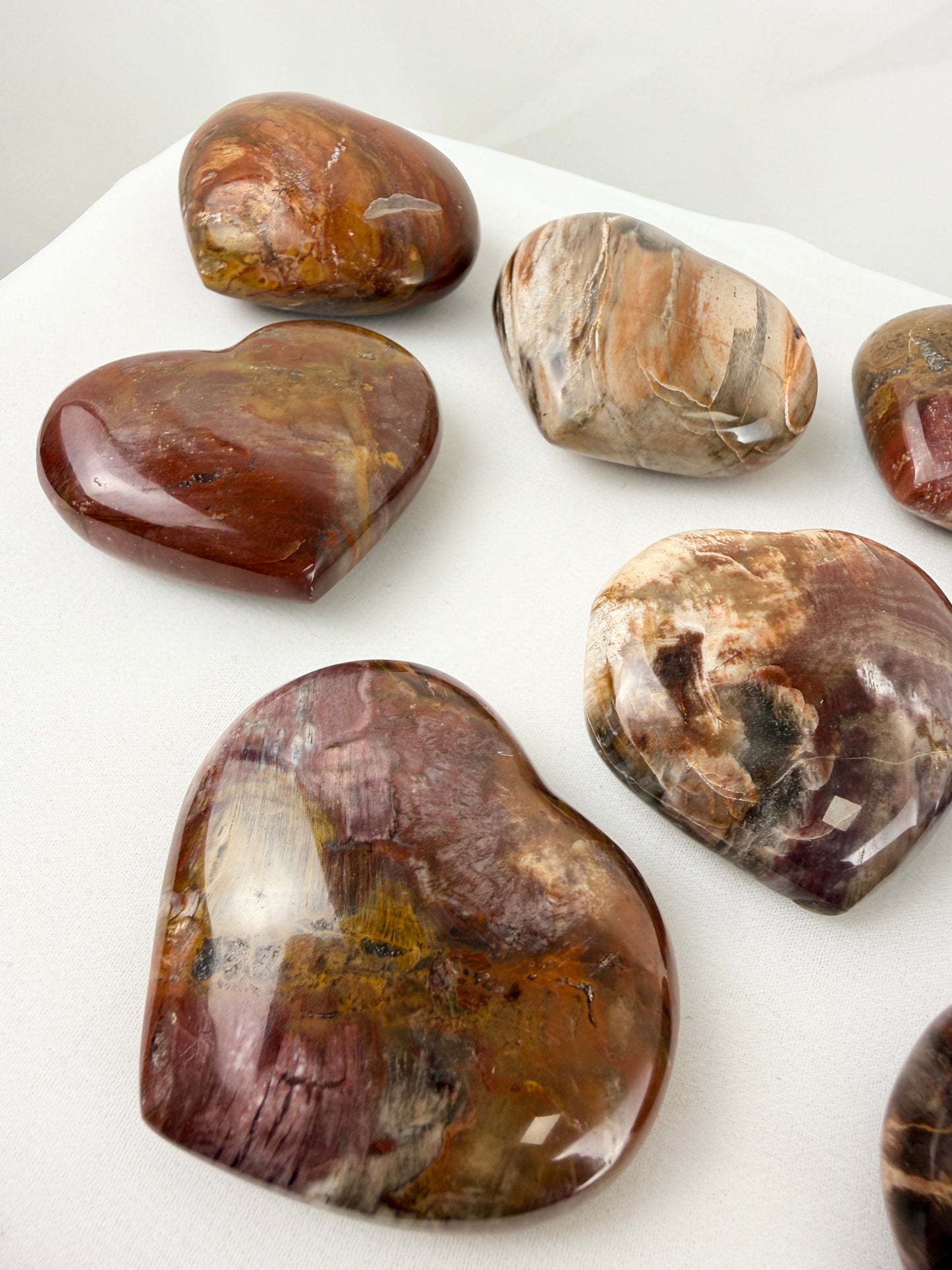 Petrified Wood Heart