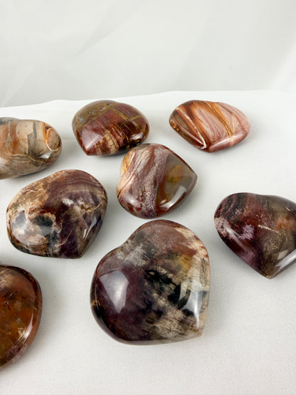 Petrified Wood Heart
