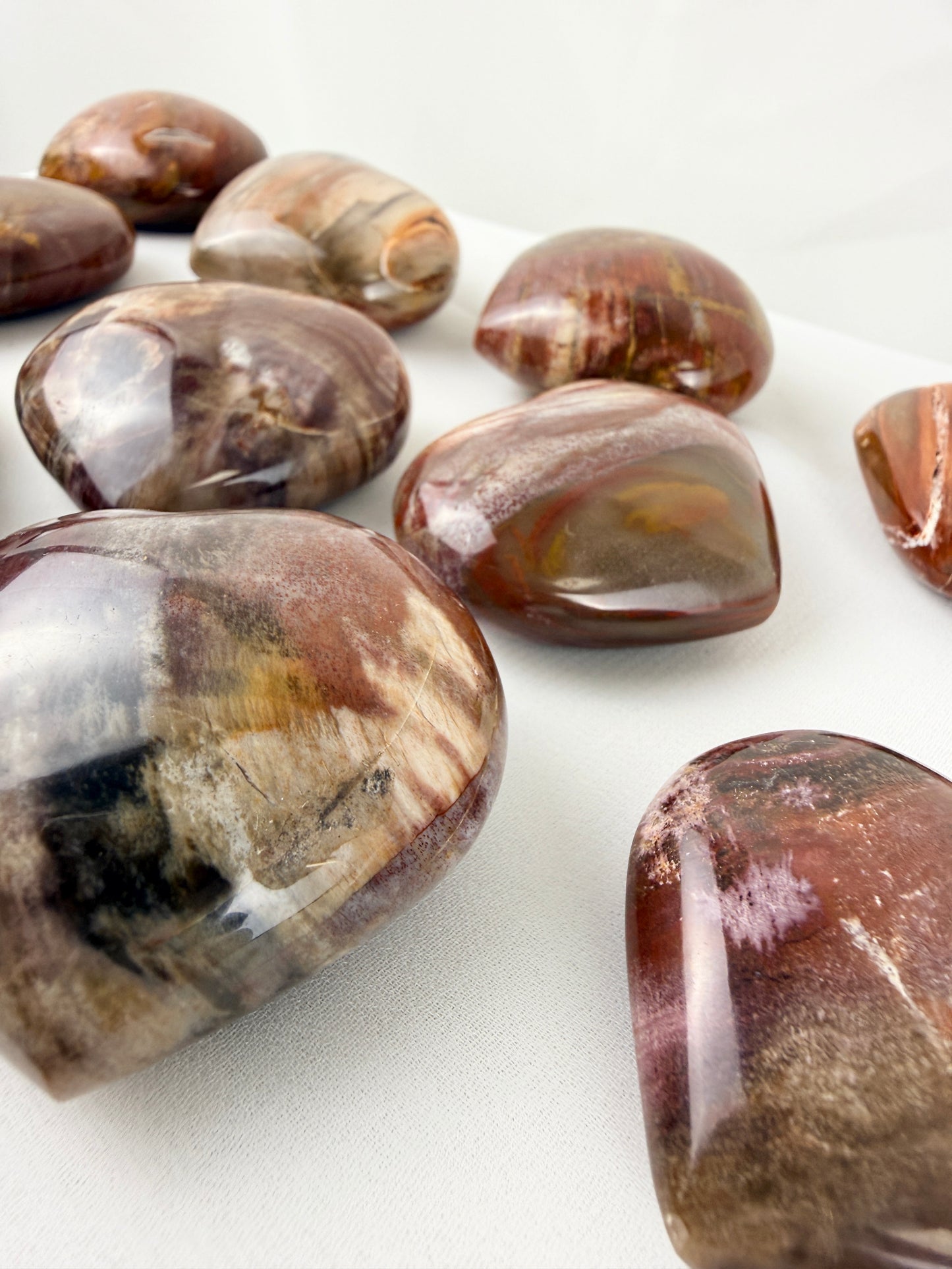 Petrified Wood Heart