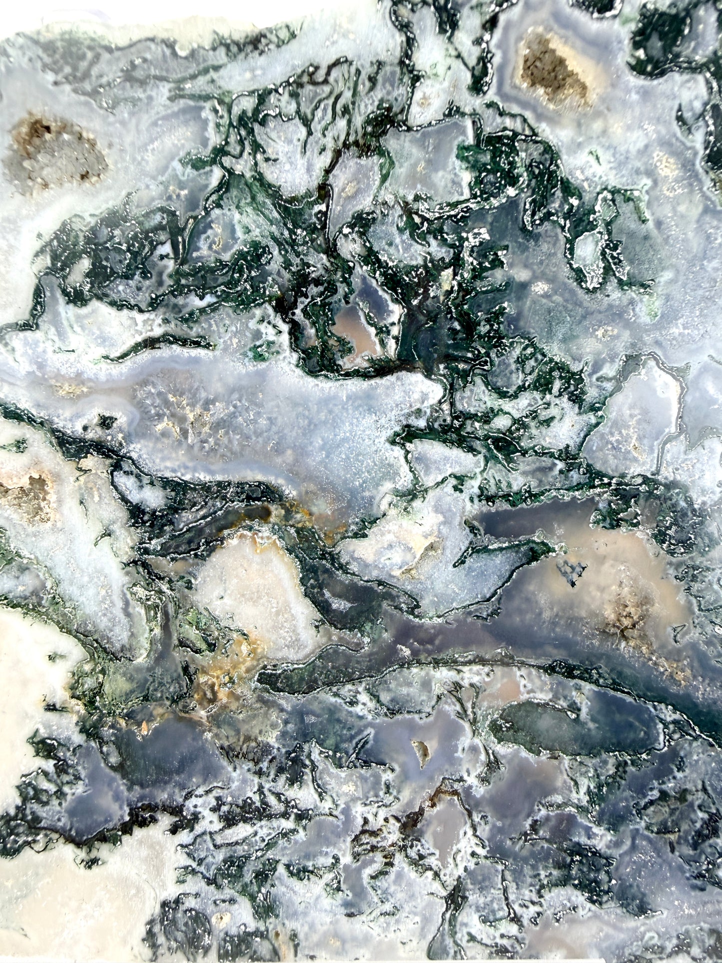 Moss Agate Slice #1