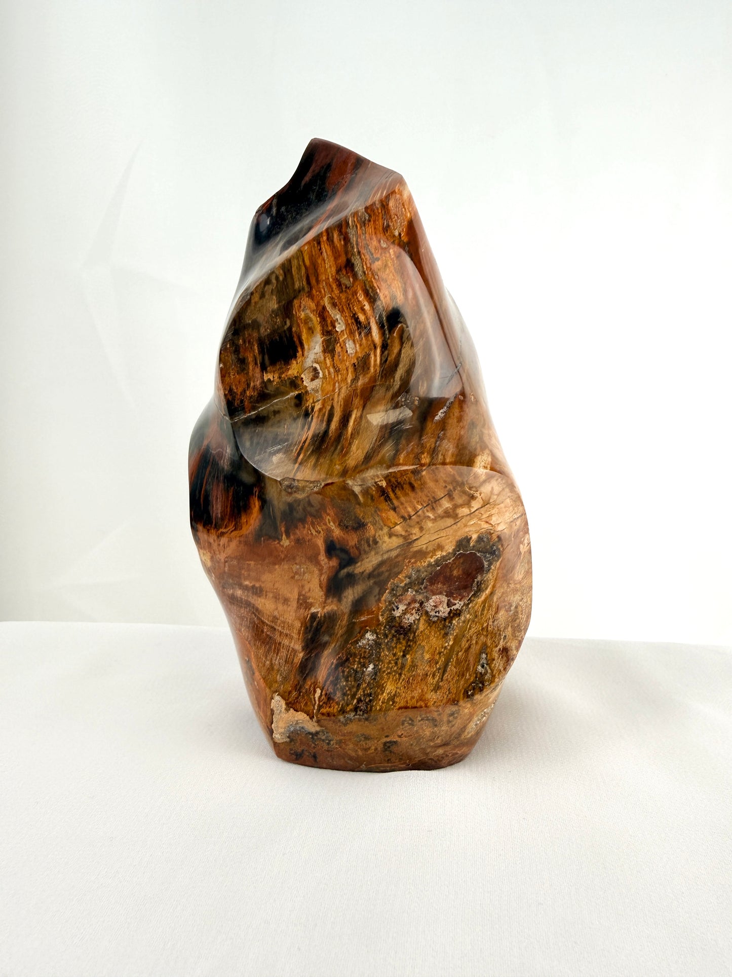 Fossilised Wood Flame - Madagascar - 0.77kg
