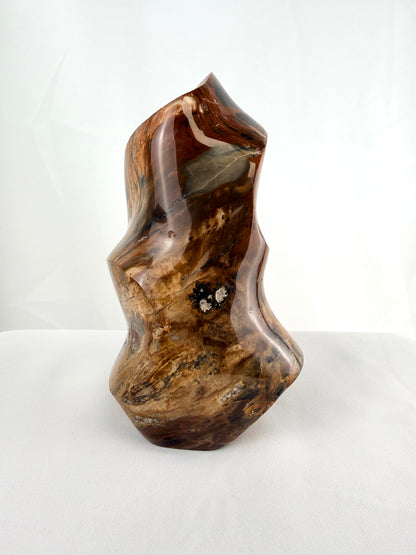 Fossilised Wood Flame - Madagascar - 0.77kg