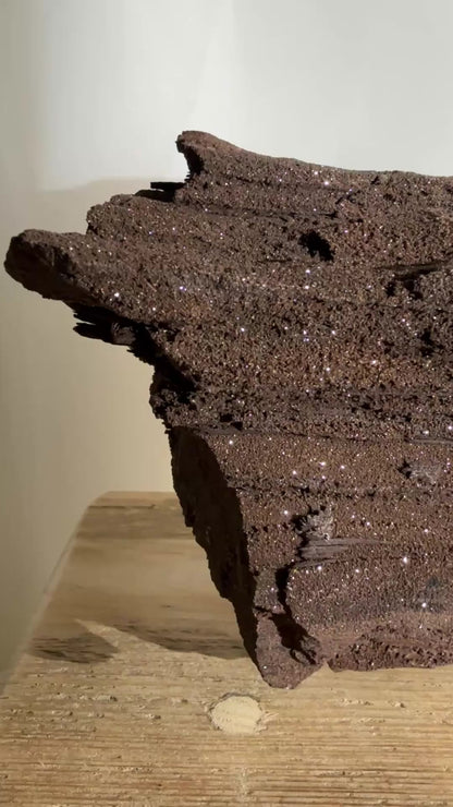 Natural Permineralised Fossil Druzy Wood - 1.60KG - Leipzig, Germany